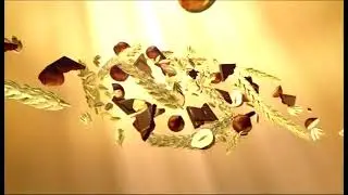 PiastroVFX Печенье Юбилейное