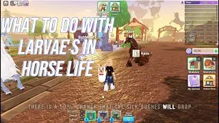 What to do With Larvae's in Horse Life | Roblox