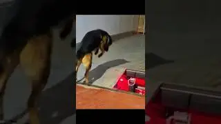 Лучше, чем большинство рабочих😂 #shorts #дальнобой #shortsvideo #shortsviral