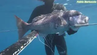 Pesca in Apnea - Questo è il mio fucile part.2