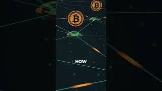 Bitcoin Halving Explained… 2024 Price Predictions. Historical Data. Ultimate Beginners Guide