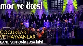 mor ve ötesi - 'Çocuklar ve Hayvanlar' (Live Symphonic @Hagia Irene) | Official Video