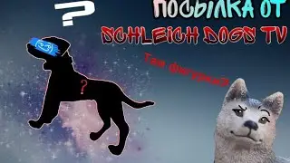 Посылка от Schleich dogs tv💞 что же там??🦖🖤)