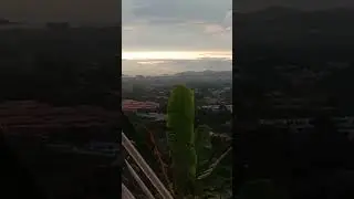 Penampang Sunset