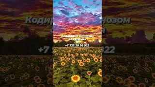 Кодирование гипнозом от курения 