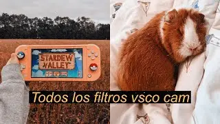 TODOS LOS FILTROS GRATIS PARA ANDROID Y IOS EN VSCO CAM 2021