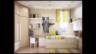 Мой обычный школьный день #коты #мемныекоты