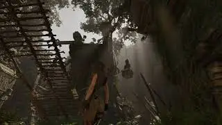 SOTTR - Radeon 5700XT 1440p - 20MBit/s x264 Codec Test