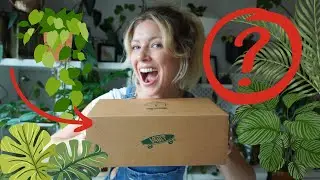 COOLEST Shoes For PLANT LOVERS !