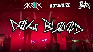 DOG BLOOD @ BUKU 2019 | Skrillex & Boys Noize