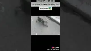 22 ноября 2020 г.