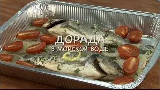 Only Food - Дорада с морской водой