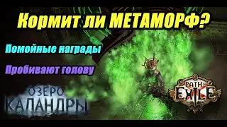 [PoE] Фарм МЕТАМОРФА. Х100 карт с метаморфами + метаморфы в лаборатории. Фарм ПоЕ 3.19