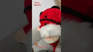 Mai visto un 