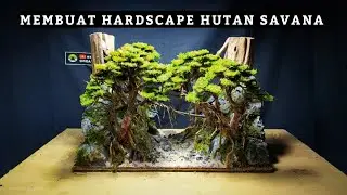 Step by step CARA MEMBUAT HARDSCAPE HUTAN SAVANA ukuran tank 40 cm