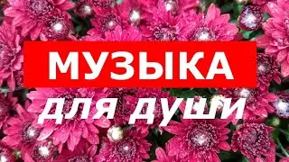 МУЗЫКА ДЛЯ ДУШИ