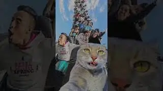 Muhammad zumbul mengkece kucing viral