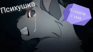 Коты воители. Клип-Психушка