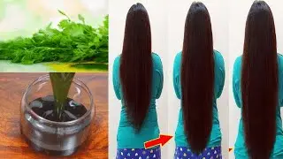 Coriander🌿 Oil: Super Fast Hair Growth Challenge| How To Grow Long and Thicken Hair Faster !!
