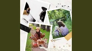 Laid-back (Happy Puppies)