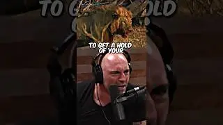 Man Vs Lion 😳 Who Wins?! - Joe Rogan 