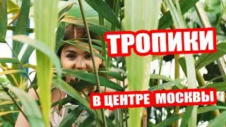 Гуляем в тропиках в центре Москвы | Аптекарский огород МГУ