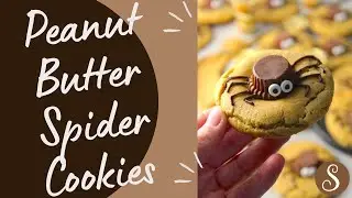 PB Spiders
