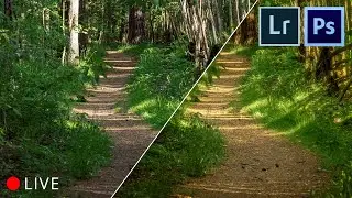 WALDFOTOS in 8 Schritten in LR & PS bearbeiten - Landschaftsfotografie RAW #44