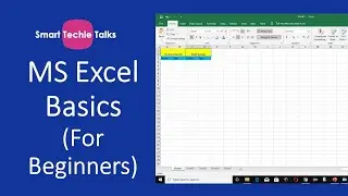 MS Excel Basics for Beginnners #excelbasics #excel