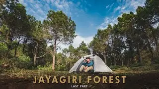 Hike n Camp : Solo Camping Jayagiri Forest, Relaxing POV