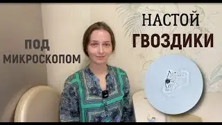 Настой гвоздики под микроскопом. Удивил !