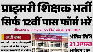 Primary Teacher Vacancy 2024 | 12वीं पास D.El.Ed वाले apply करें | Teacher reqruitment,hssc teacher