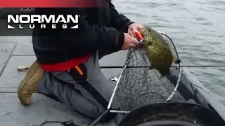 NORMAN | Deep Little N Retrieve Speed