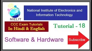 Software & Hardware