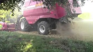 Палессе gs12.MTS