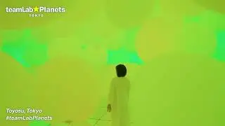 teamLab, Highlight video of teamLab Planets, Toyosu, Tokyo / Video: teamLab