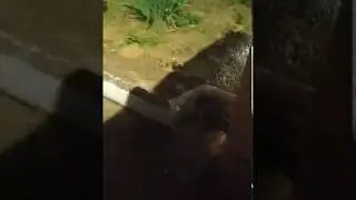 Вечеринка у Зевса дома (гроза в Ташкенте 05.06.2019, с дождём и градом)