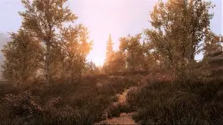Skyrim SE Graphics | Mod List (PC)