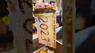 Mind your beeswax 