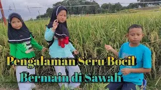 Serunya Bermain di Sawah Melihat Padi yang Sedang Menguning