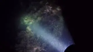 Catalina Night Dive (2017)