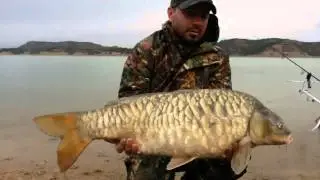 Best moments carpfishing