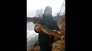 Дроп шот совмещенный с джиг ригом. Drop-shot, Jig rig. Спиннинг весной на малых реках.