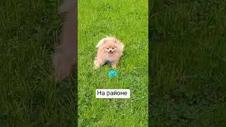 счастливая и довольная 