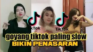 tiktok goyang paling slow