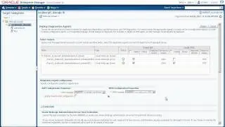 Oracle Enterprise Manager 12c: Deploying JVMD and ADP Agents