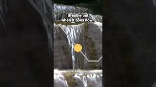 Slow Deep Breathing Meditation (6-2-6-2)  