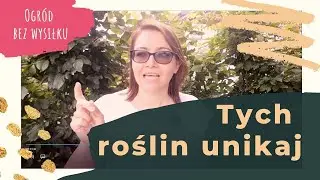 #2 Tych roślin unikaj, jeśli nie masz czasu, by się nimi zajmować. Kłopotliwe rośliny ogrodowe.