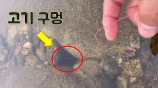 생활낚시 끝판왕 구멍치기!!