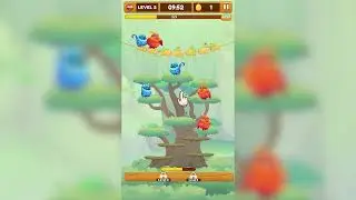 Triple Bird Match Master | Walkthrough 3